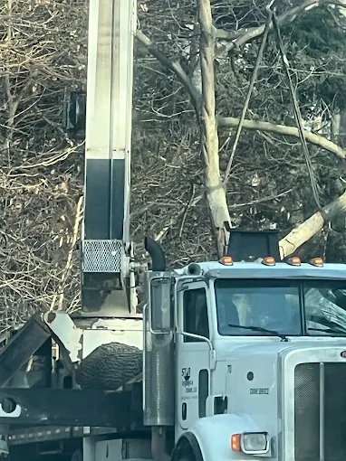 White utility truck with raised boom near trees during maintenance work